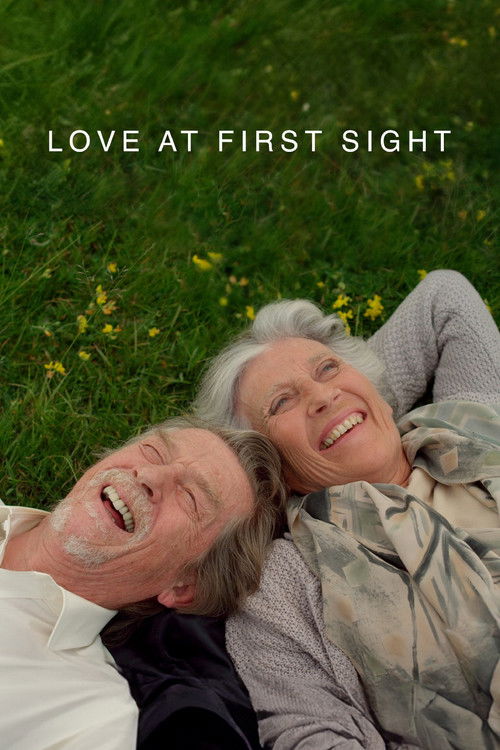 Love at First Sight (2010) movie poster