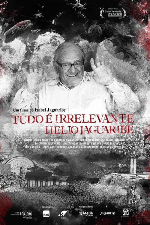 Tudo é Irrelevante. Hélio Jaguaribe (2017) movie poster