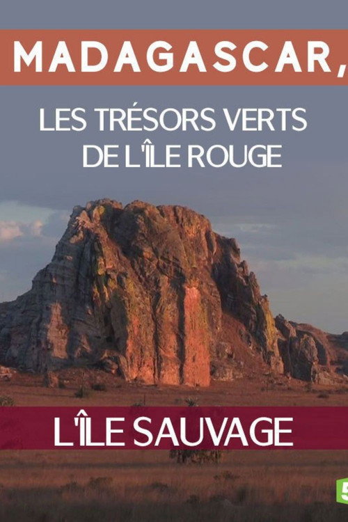 Madagascar, l'île sauvage movie poster