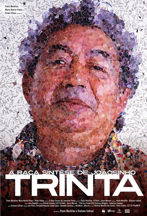 A Raça Síntese de Joãosinho Trinta (2009) movie poster