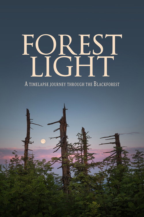 Forest Light (2021) movie poster