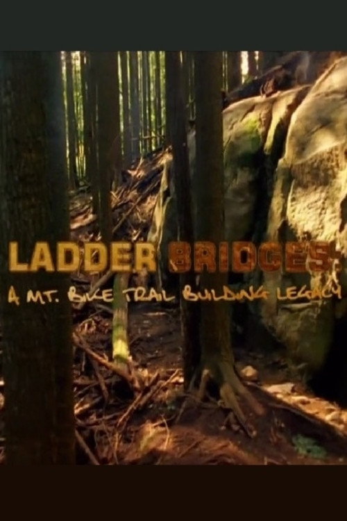 Ladder Bridges (2006) movie poster
