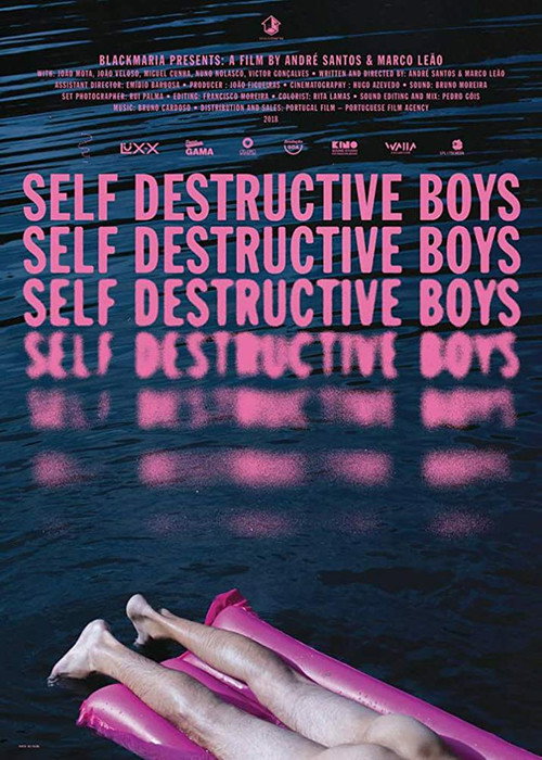 Self Destructive Boys (2018) movie poster