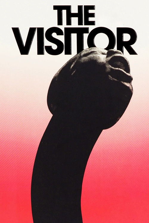 The Visitor (2024) movie poster
