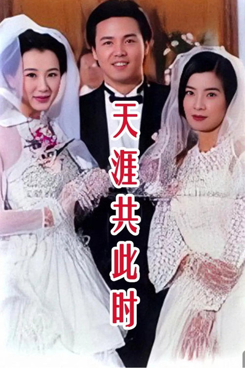 天涯共此时 (1996) TV show poster
