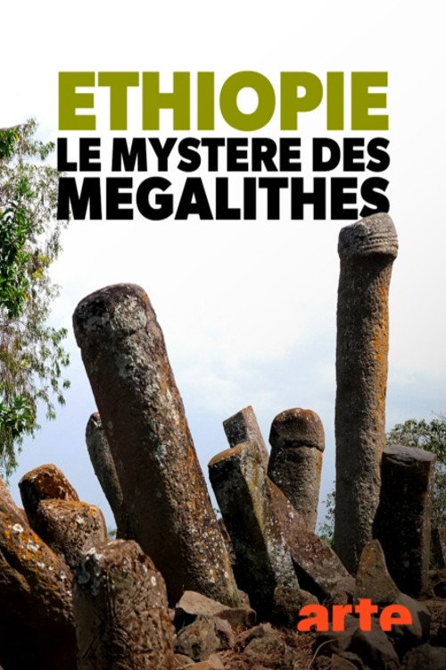 Éthiopie, le mystère des mégalithes (2019) movie poster