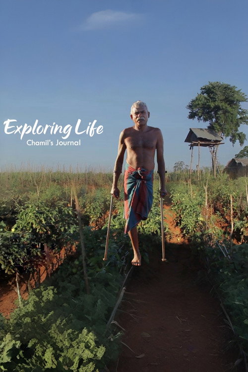 Exploring Life - Chamil's Journal (2019) TV show poster