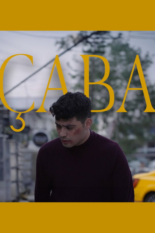 Çaba (2024) movie poster