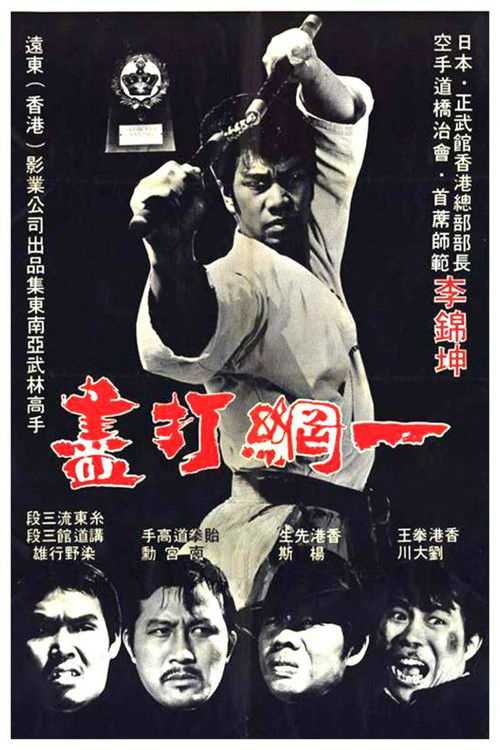 The Thunder Kick (1974) movie poster