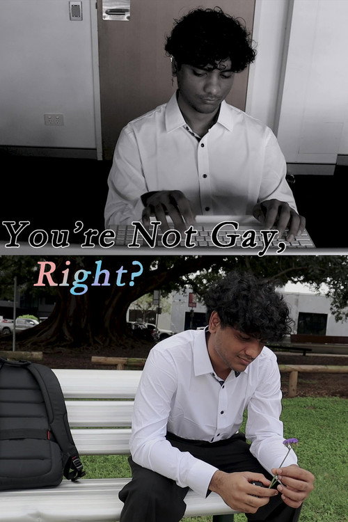 You're Not Gay, Right? (2024) movie poster