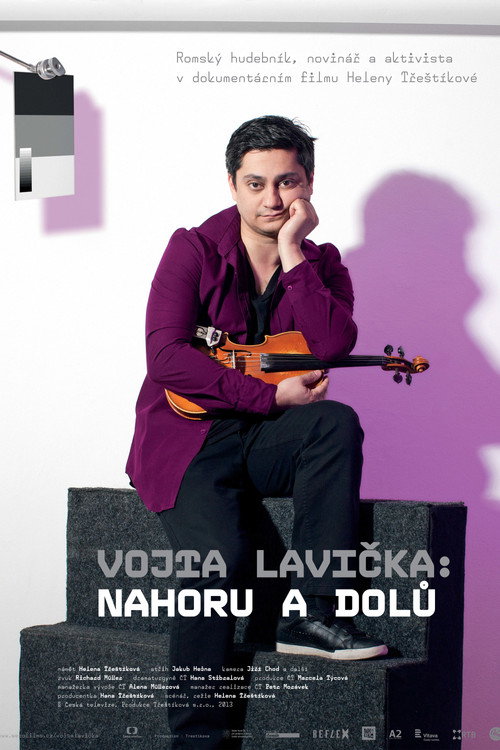 Vojta Lavička: Ups and Downs (2013) movie poster