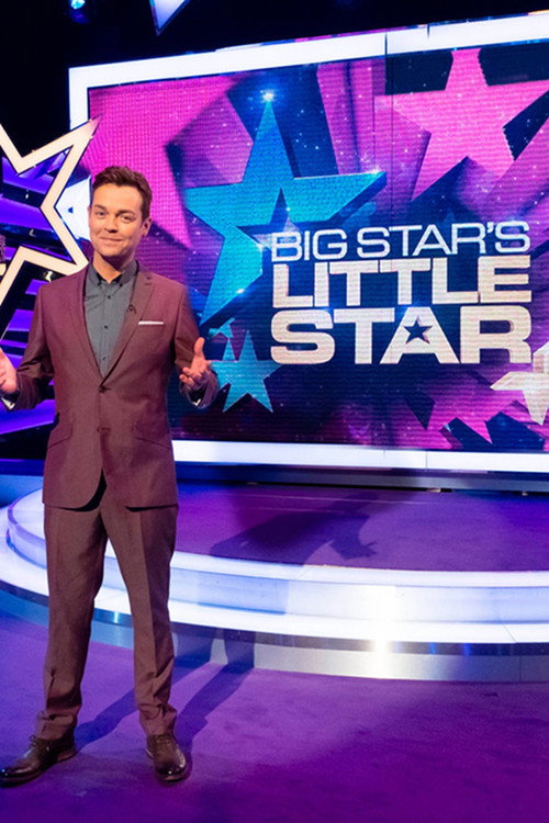 Big Star's Little Star (2013) TV show poster
