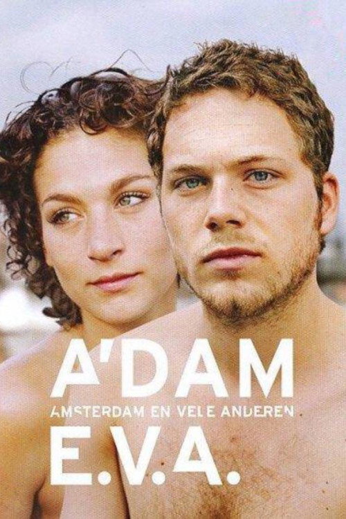 Amsterdam Paradise (2011) TV show poster