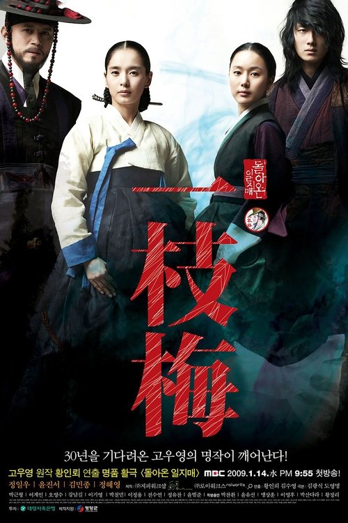 The Return of Iljimae (2009) TV show poster