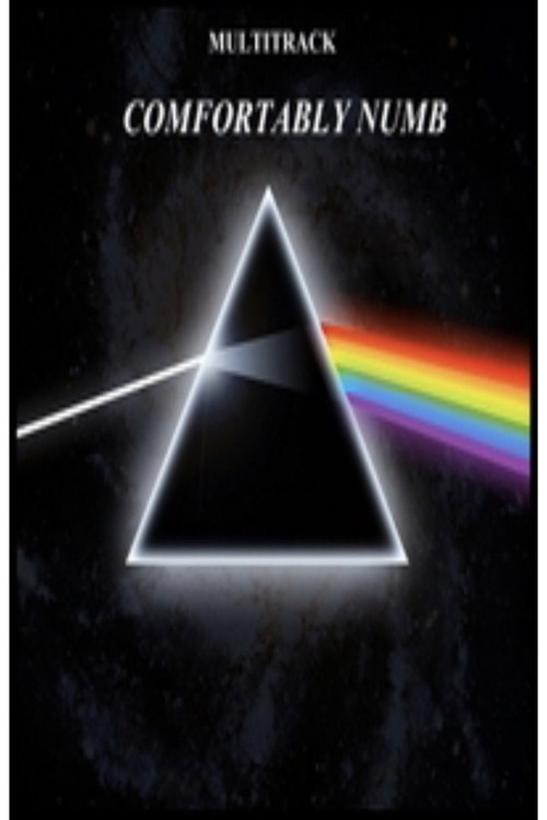 Pink Floyd - Comfortably Numb (2005) movie poster