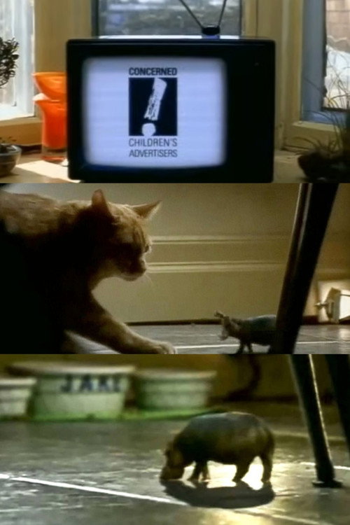 North American House Hippo (1999) movie poster