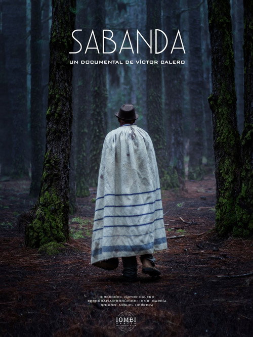 Sabanda (2016) movie poster