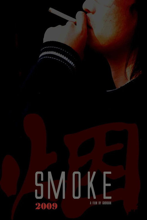 SMOKE (2009) movie poster