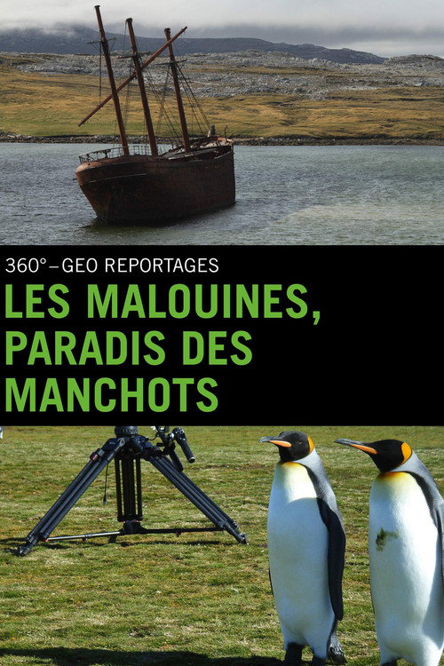 Falklandinseln : Pinguine auf dem Vormarsch (2010) movie poster