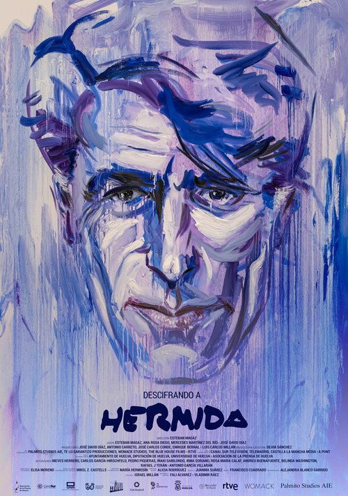Descifrando a Hermida movie poster