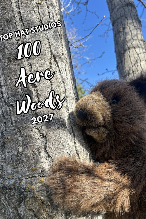100 Acre Woods (2027) movie poster