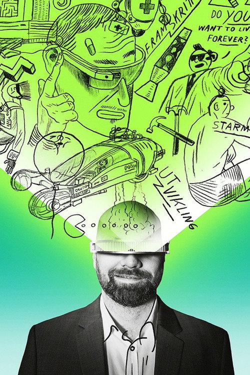 Lisenskontrolløren (2013) TV show poster