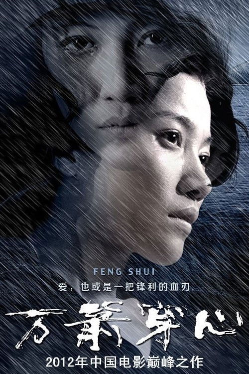 Feng Shui (2012) movie poster
