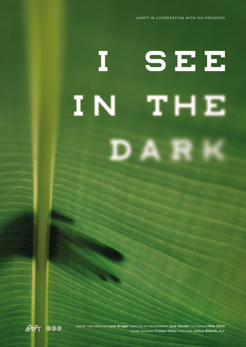 I See in the Dark (2019) movie poster