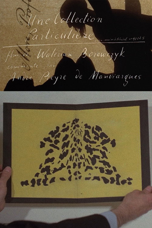A Private Collection (1972) movie poster