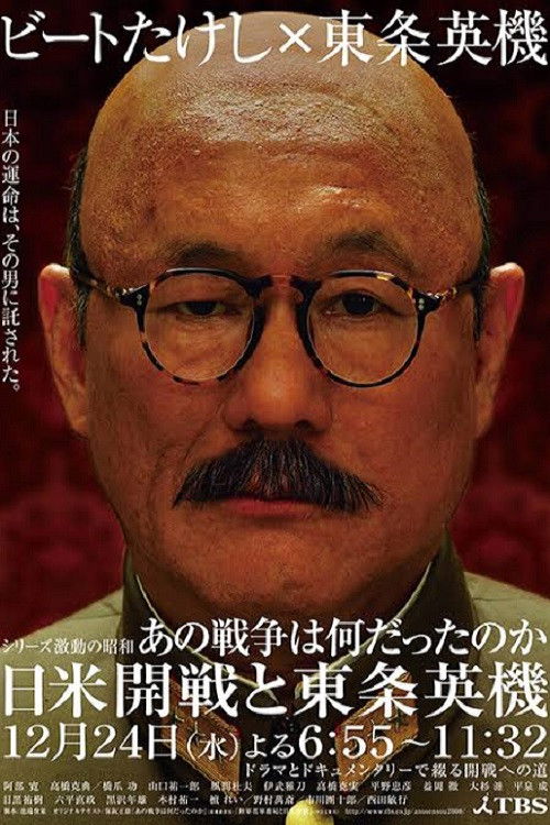 What the War Meant (2008) movie poster
