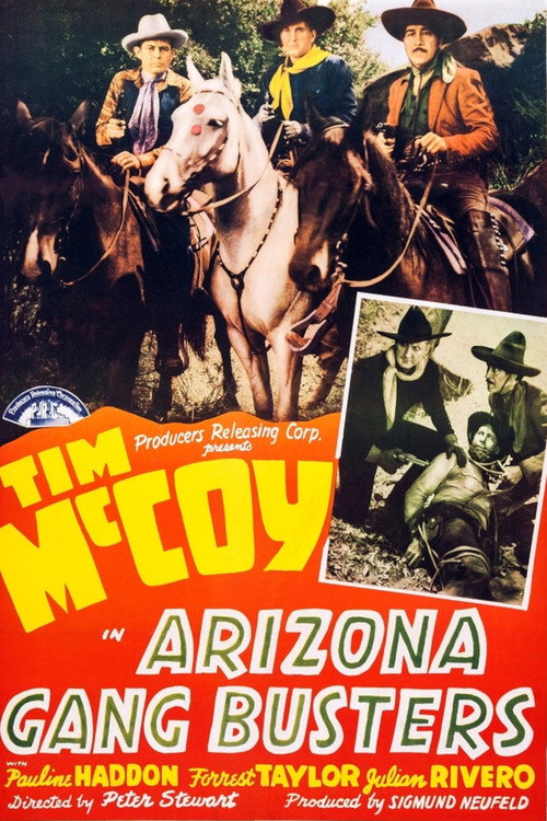Arizona Gang Busters (1940) movie poster