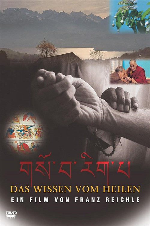 The Knowledge of Healing (1997) movie poster