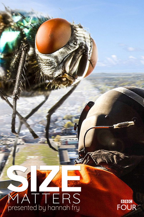 Size Matters (2018) TV show poster