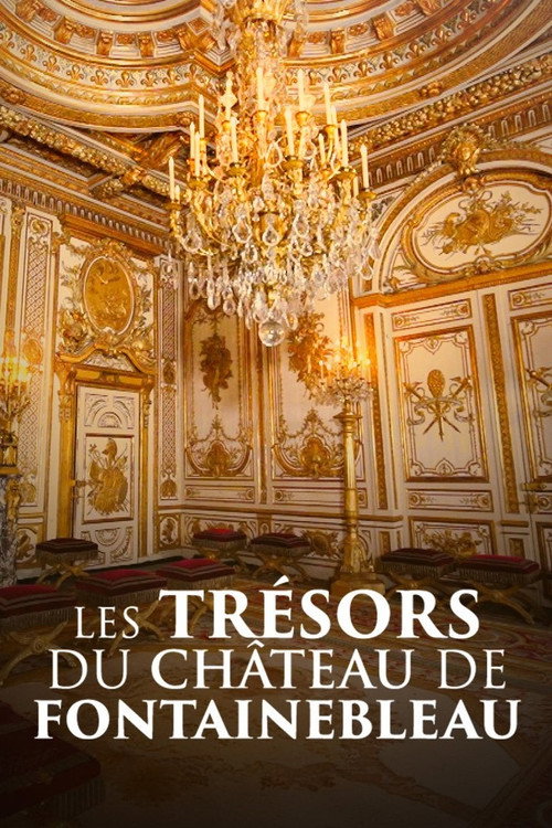 Les trésors du château de Fontainebleau (2024) movie poster