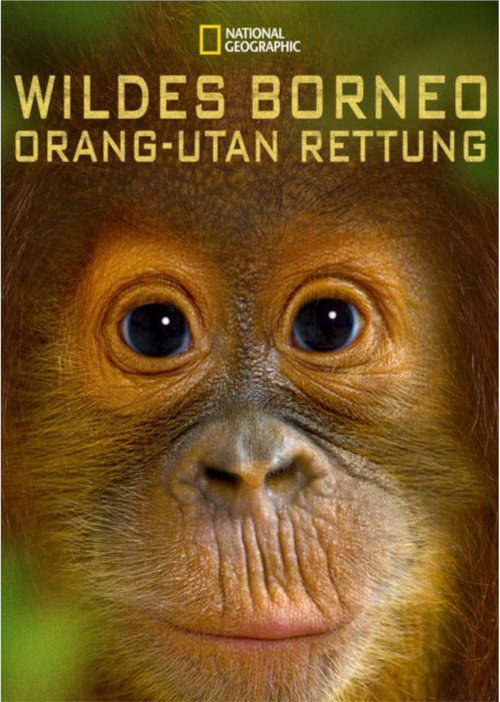 Orangutan Rescue - Back to The Wild (2014) movie poster