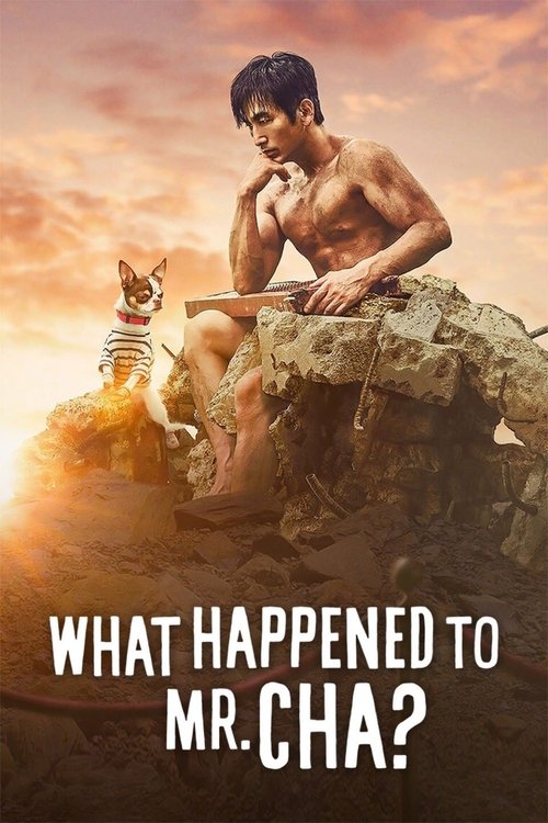 What Happened to Mr. Cha? (2021) movie poster