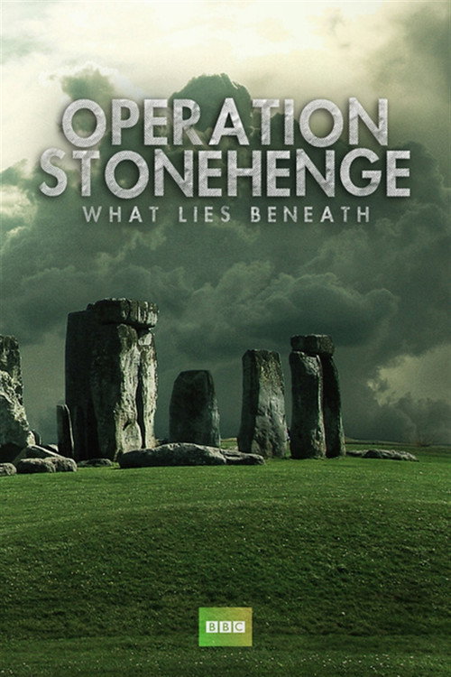 Operation Stonehenge: What Lies Beneath (2014) movie poster