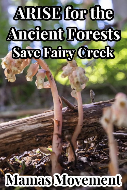 ARISE for the Ancient Forests | Save Fairy Creek movie poster