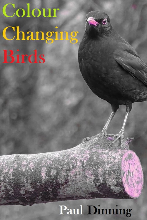 Colour Changing Birds (2023) movie poster