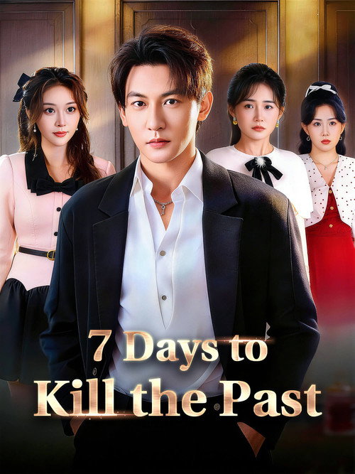 7 Days to Kill the Past TV show poster