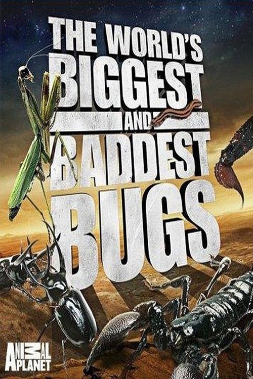 The World's Biggest and Baddest Bugs (2009) movie poster