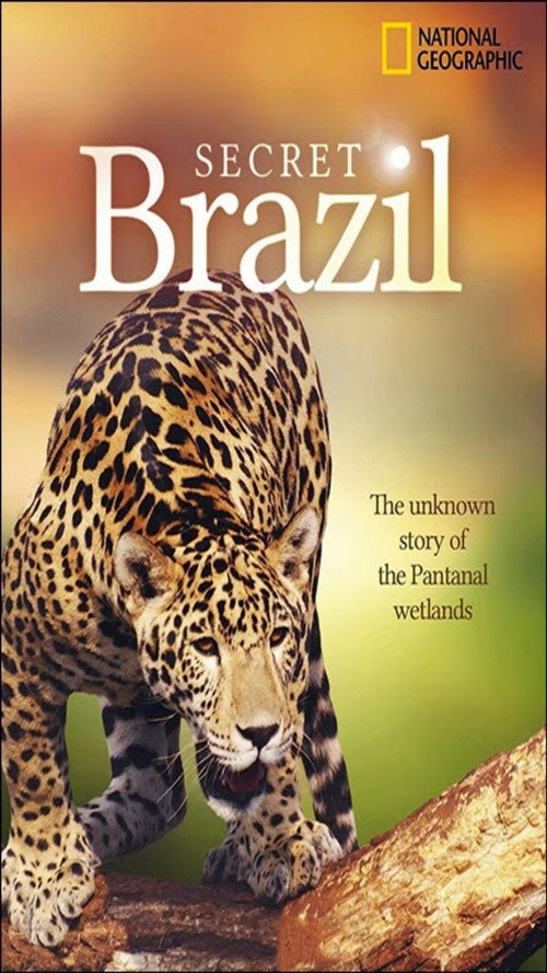 Secret Brazil – National TV show poster
