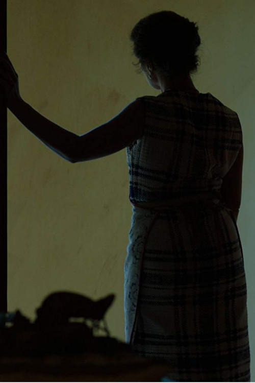 Tamed (2011) movie poster