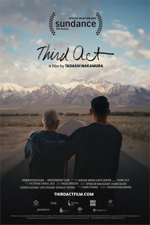 Third Act (2025) movie poster