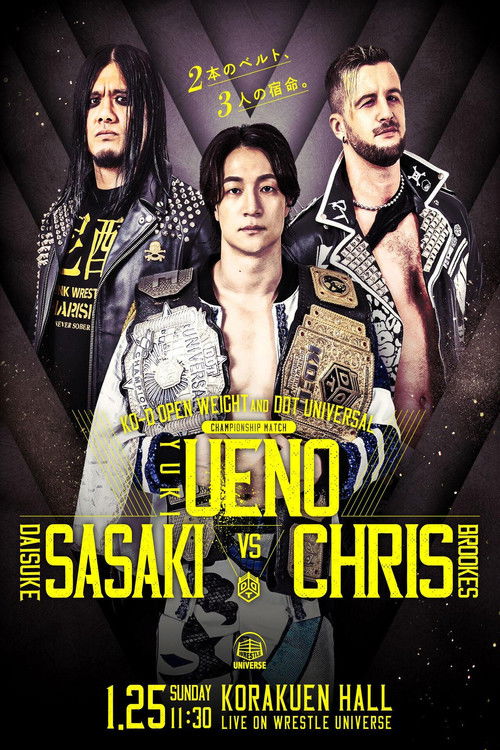 DDT Mission in Battle ~new year splendor~ (2026) movie poster