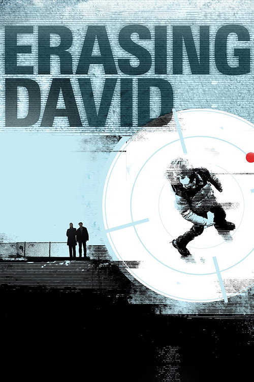 Erasing David (2009) movie poster