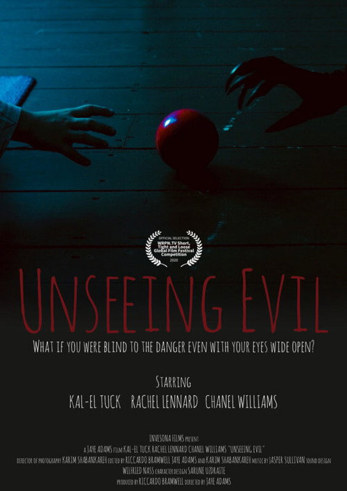 Unseeing Evil (2020) movie poster