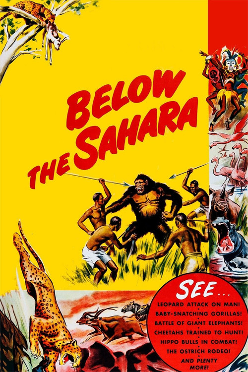 Below the Sahara (1953) movie poster