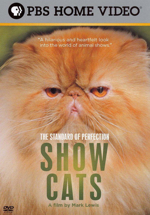 The Standard of Perfection: Show Cats (2006) movie poster