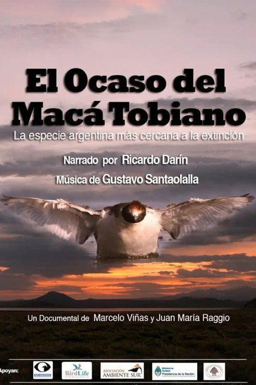 El Ocaso del Macá Tobiano (2012) movie poster